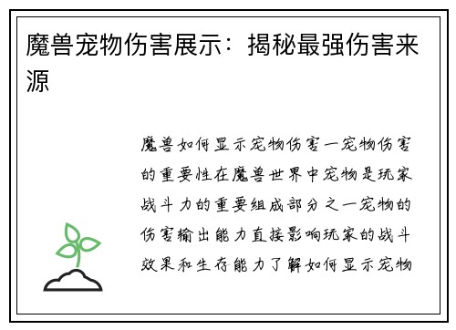 魔兽宠物伤害展示：揭秘最强伤害来源